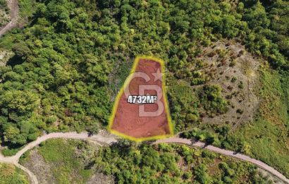 KOCAELİ GÖLCÜK HAMİDİYE 4732 m² YOLA CEPHE FIRSAT TARLA