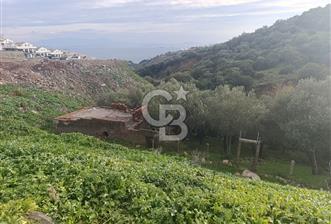 İzmir Dikili Çandarlı' da Kısmi İmarlı Satılık Zeytinlik CB PH - 5 - 319903