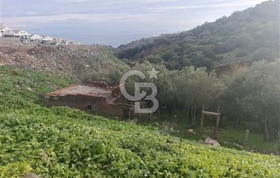 İzmir Dikili Çandarlı' da Kısmi İmarlı Satılık Zeytinlik CB PH