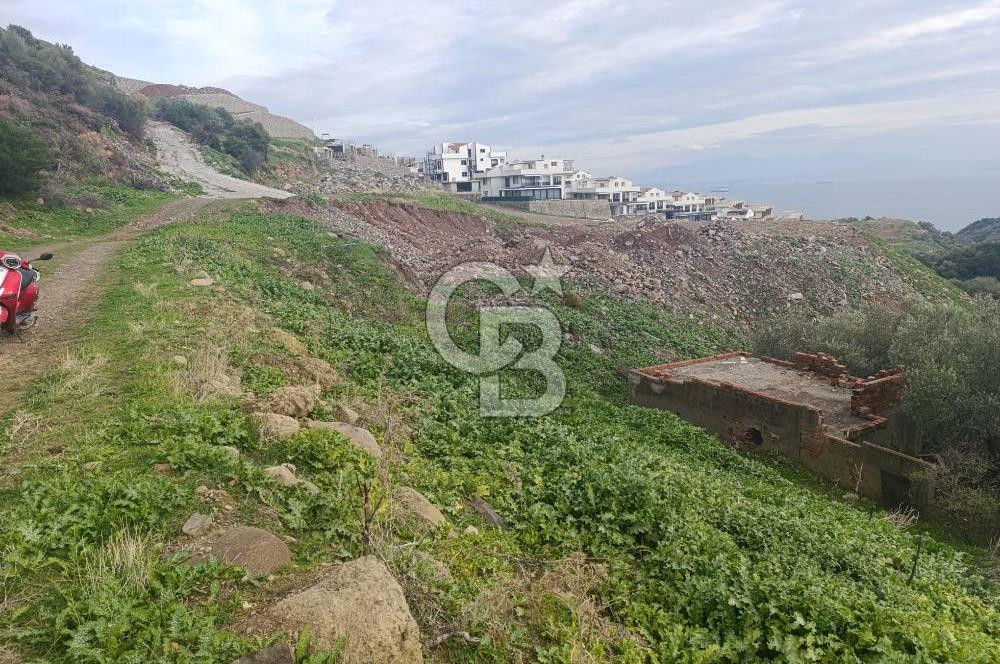 İzmir Dikili Çandarlı' da Kısmi İmarlı Satılık Zeytinlik CB PH