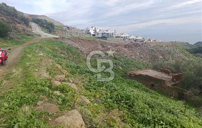 İzmir Dikili Çandarlı' da Kısmi İmarlı Satılık Zeytinlik CB PH