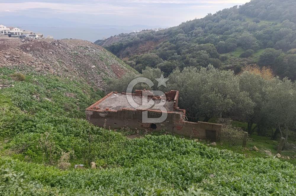 İzmir Dikili Çandarlı' da Kısmi İmarlı Satılık Zeytinlik CB PH