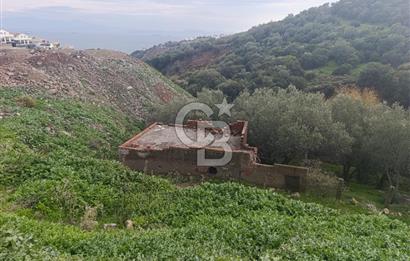 İzmir Dikili Çandarlı' da Kısmi İmarlı Satılık Zeytinlik CB PH