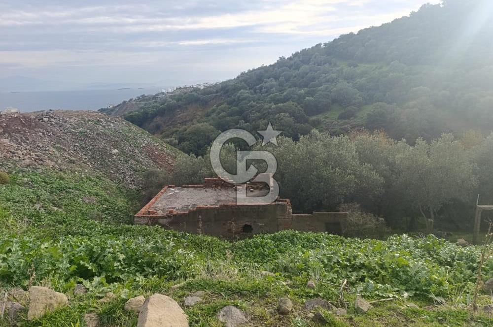 İzmir Dikili Çandarlı' da Kısmi İmarlı Satılık Zeytinlik CB PH