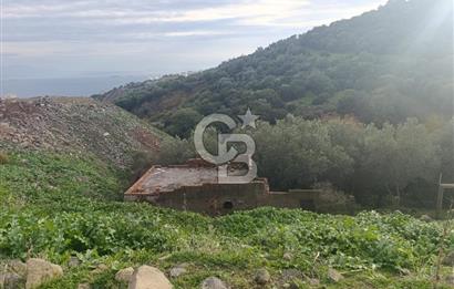İzmir Dikili Çandarlı' da Kısmi İmarlı Satılık Zeytinlik CB PH