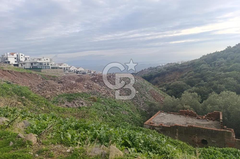 İzmir Dikili Çandarlı' da Kısmi İmarlı Satılık Zeytinlik CB PH