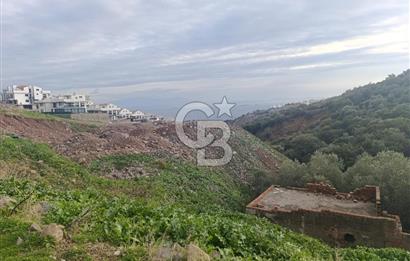 İzmir Dikili Çandarlı' da Kısmi İmarlı Satılık Zeytinlik CB PH