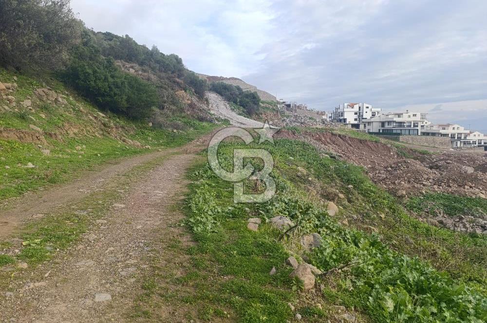 İzmir Dikili Çandarlı' da Kısmi İmarlı Satılık Zeytinlik CB PH