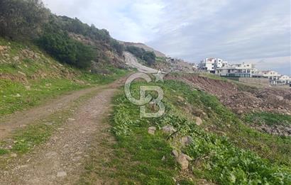 İzmir Dikili Çandarlı' da Kısmi İmarlı Satılık Zeytinlik CB PH