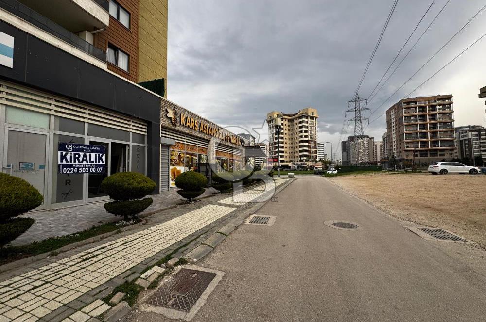 CB BLACK NİLÜFER 23NİSAN MAH. KİRALIK DÜKKANLAR
