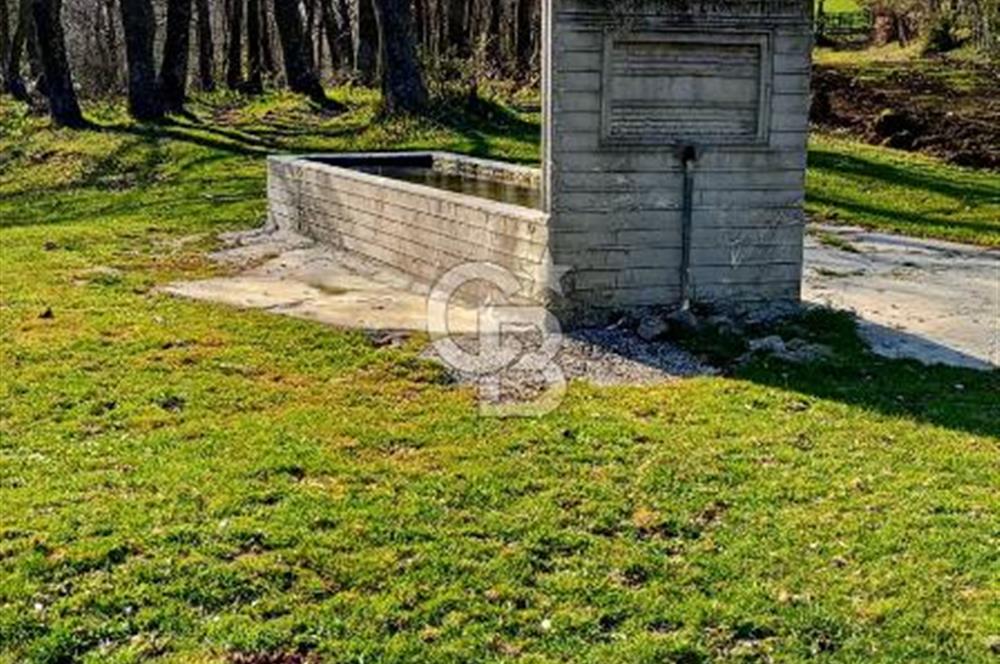 ÇANAKKALE LAPSEKİ BEYÇAYIR KÖYÜ 5246 m2 SATILIK ARAZİ