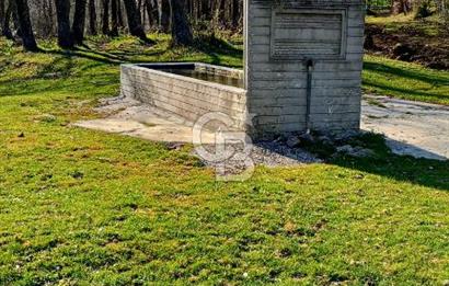 ÇANAKKALE LAPSEKİ BEYÇAYIR KÖYÜ 5246 m2 SATILIK ARAZİ