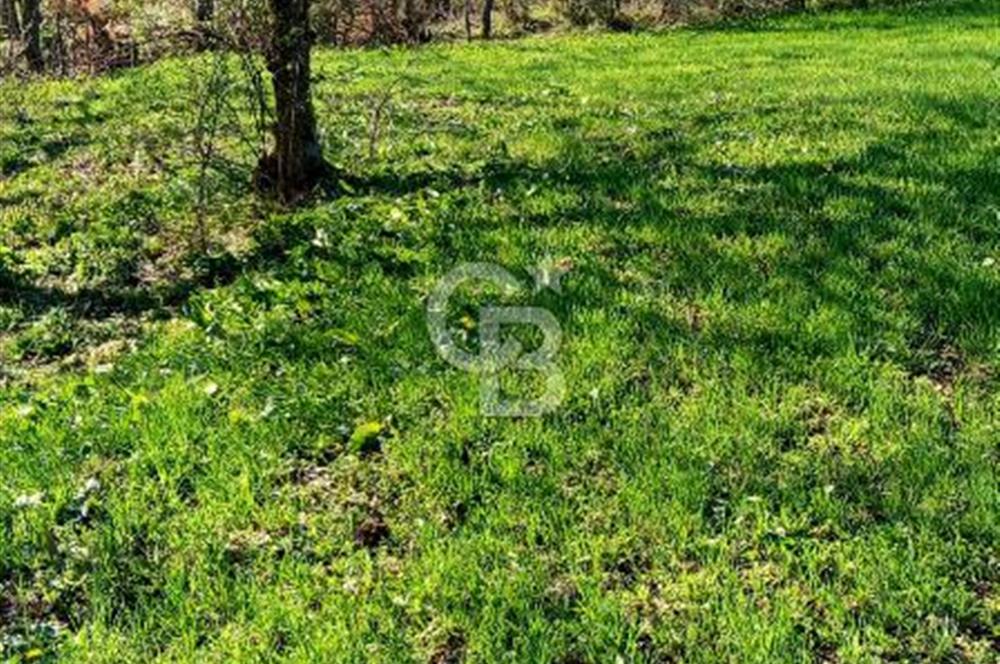 ÇANAKKALE LAPSEKİ BEYÇAYIR KÖYÜ 5246 m2 SATILIK ARAZİ