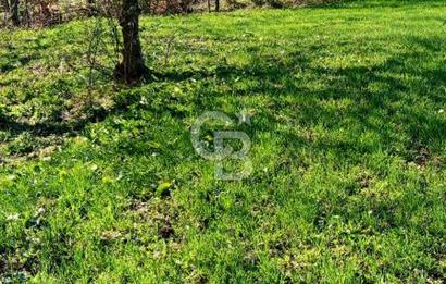 ÇANAKKALE LAPSEKİ BEYÇAYIR KÖYÜ 5246 m2 SATILIK ARAZİ