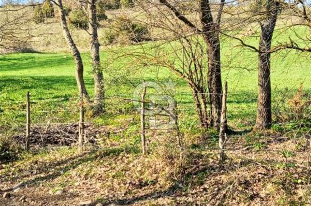 ÇANAKKALE LAPSEKİ BEYÇAYIR KÖYÜ 5246 m2 SATILIK ARAZİ