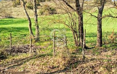 ÇANAKKALE LAPSEKİ BEYÇAYIR KÖYÜ 5246 m2 SATILIK ARAZİ