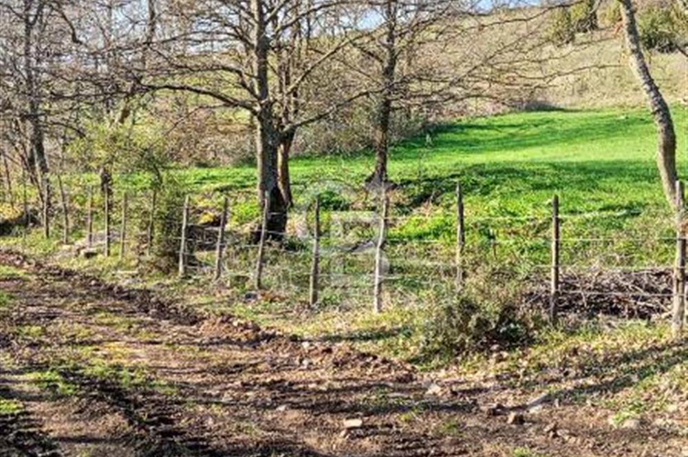 ÇANAKKALE LAPSEKİ BEYÇAYIR KÖYÜ 5246 m2 SATILIK ARAZİ