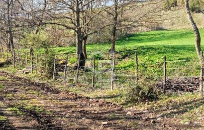 ÇANAKKALE LAPSEKİ BEYÇAYIR KÖYÜ 5246 m2 SATILIK ARAZİ