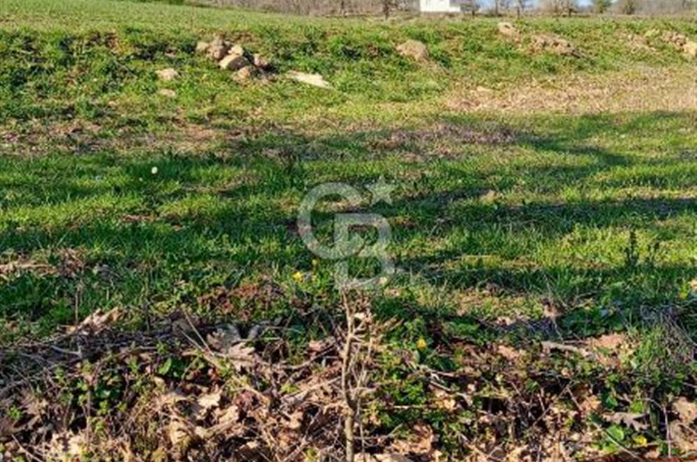 ÇANAKKALE LAPSEKİ BEYÇAYIR KÖYÜ 5246 m2 SATILIK ARAZİ