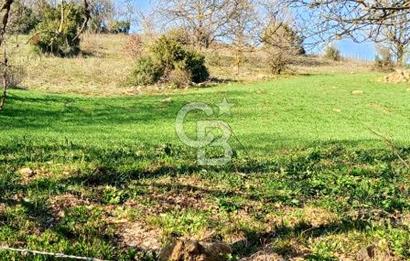 ÇANAKKALE LAPSEKİ BEYÇAYIR KÖYÜ 5246 m2 SATILIK ARAZİ