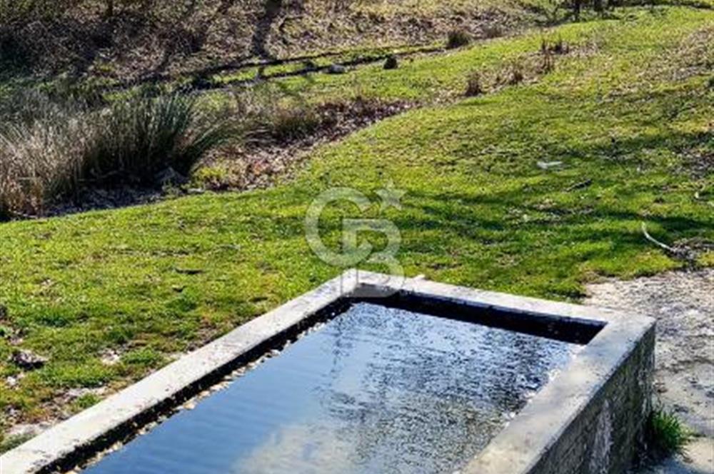 ÇANAKKALE LAPSEKİ BEYÇAYIR KÖYÜ 5246 m2 SATILIK ARAZİ