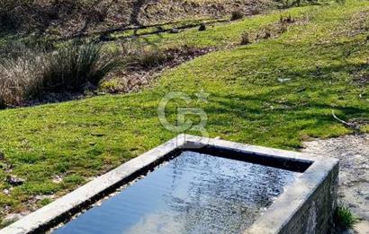 ÇANAKKALE LAPSEKİ BEYÇAYIR KÖYÜ 5246 m2 SATILIK ARAZİ