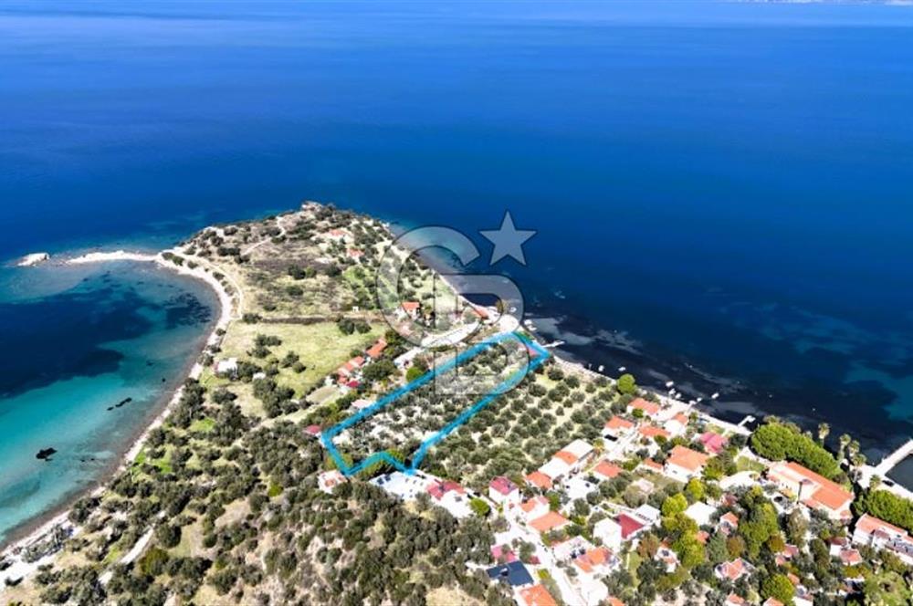 BADEMLİDE SAKİNLİK VE DEĞER BİR ARADA SATILIK 6606m2 TARLA