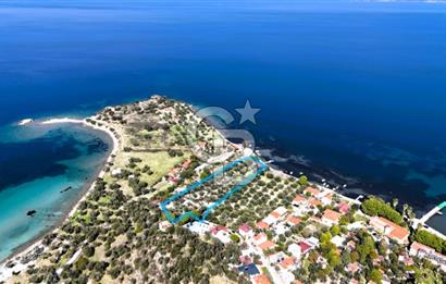 BADEMLİDE SAKİNLİK VE DEĞER BİR ARADA SATILIK 6606m2 TARLA