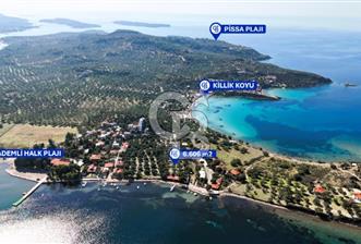 BADEMLİDE SAKİNLİK VE DEĞER BİR ARADA SATILIK 6606m2 TARLA - 2 - 319922