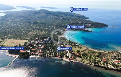 BADEMLİDE SAKİNLİK VE DEĞER BİR ARADA SATILIK 6606m2 TARLA