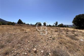 Serinhisar Cumhuriyet Mahallesinde 10.252 m2 Satılık Tarla - 2 - 319915