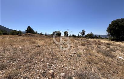 Serinhisar Cumhuriyet Mahallesinde 10.252 m2 Satılık Tarla