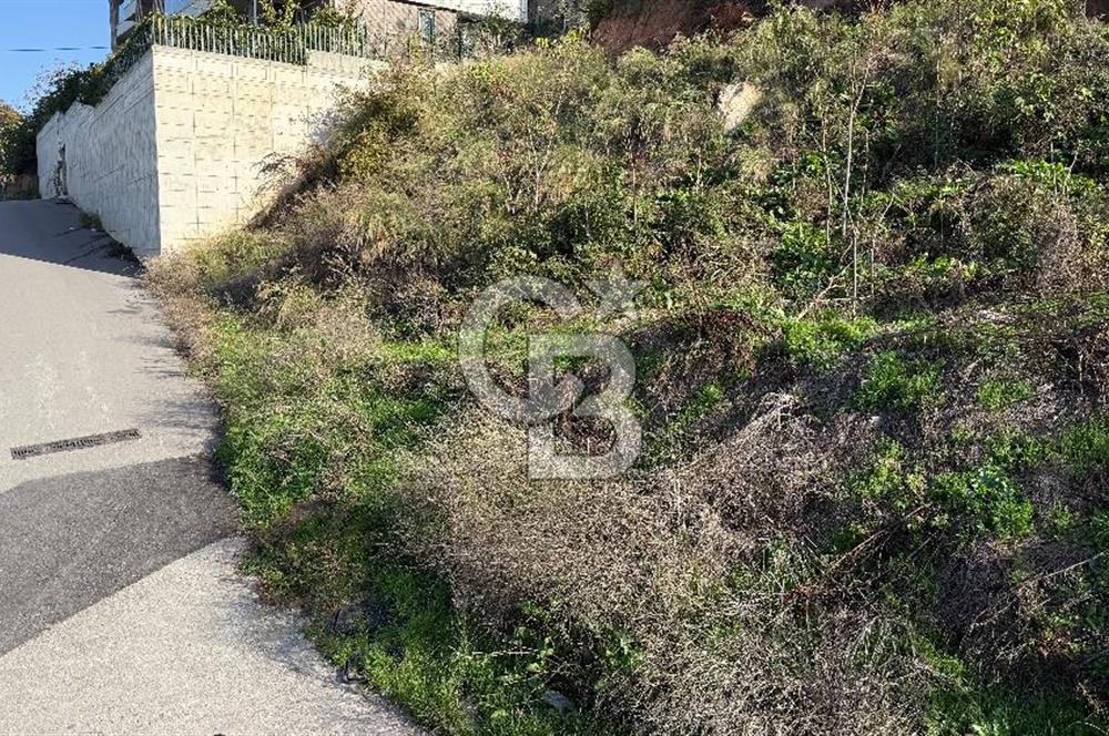 Bursa Osmangazi Çekirgede Eşsiz Villa Arsası Fırsatı!