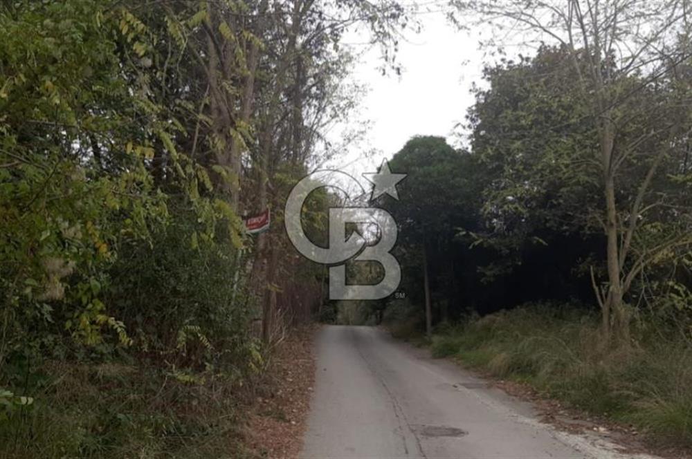 Çekmeköy Sırapınarda Üçkat Villa İmarlı Arsa