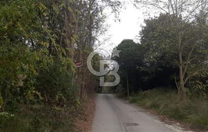 Çekmeköy Sırapınarda Üçkat Villa İmarlı Arsa