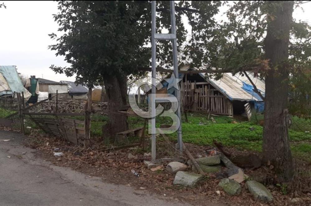 Çekmeköy Sırapınarda Üçkat Villa İmarlı Arsa