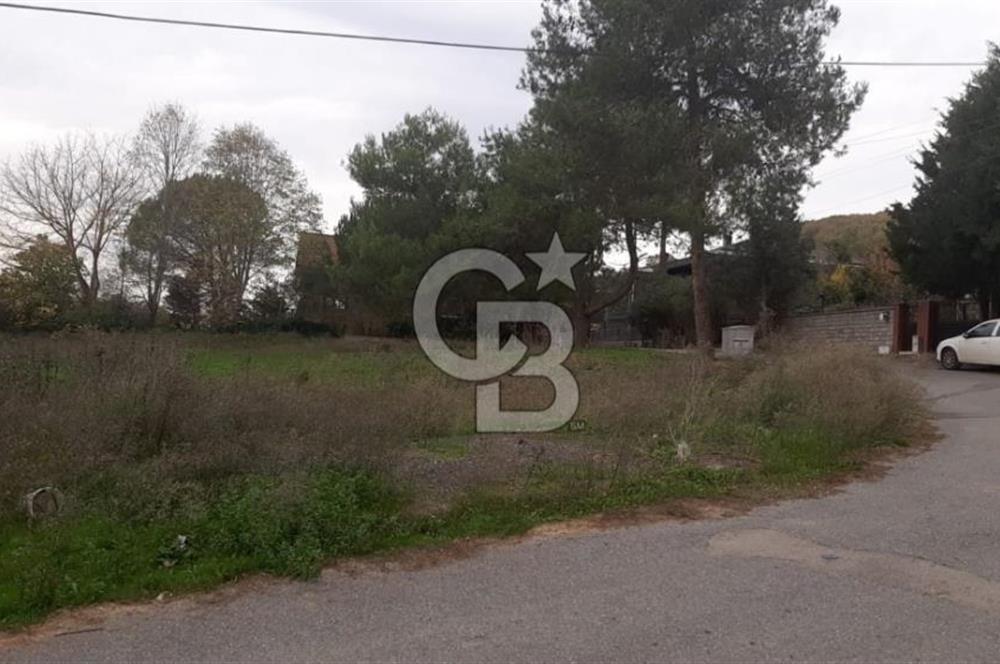 Çekmeköy Sırapınarda Üçkat Villa İmarlı Arsa