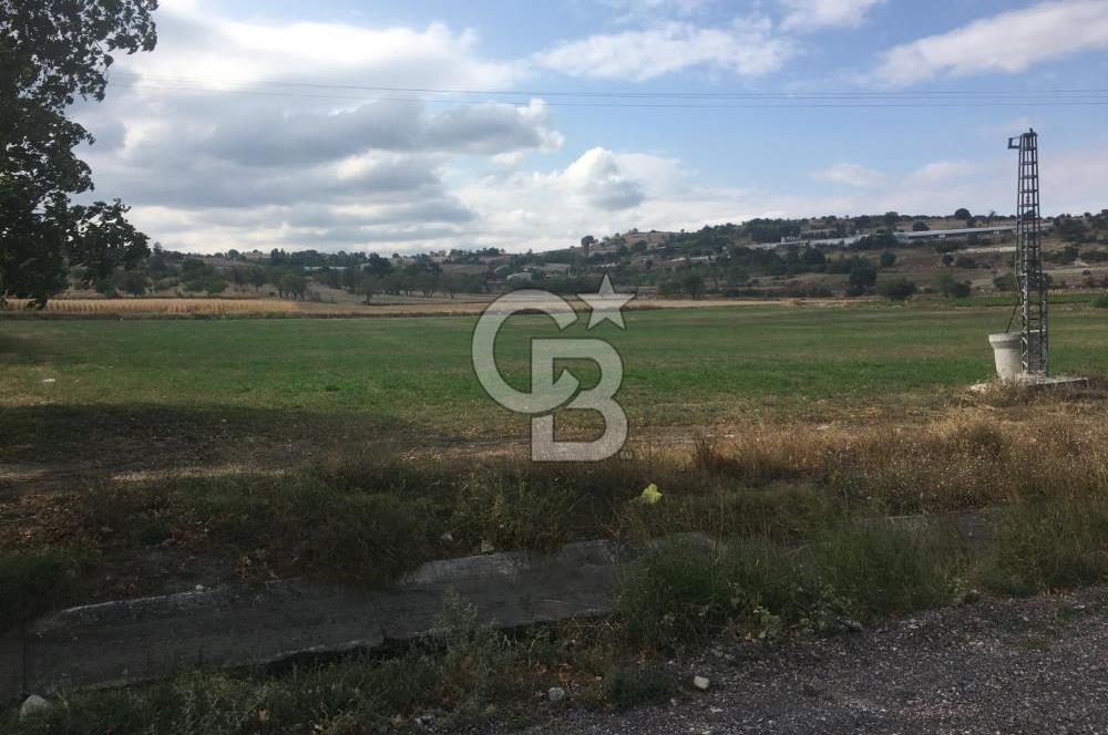 BALIKESİR ALTIEYLÜL PAMUKÇU'DA 24 DÖNÜM RUHSATLI ÇİFTLİK