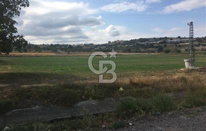 BALIKESİR ALTIEYLÜL PAMUKÇU'DA 24 DÖNÜM RUHSATLI ÇİFTLİK