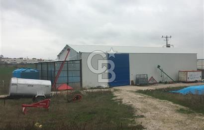 BALIKESİR ALTIEYLÜL PAMUKÇU'DA 24 DÖNÜM RUHSATLI ÇİFTLİK