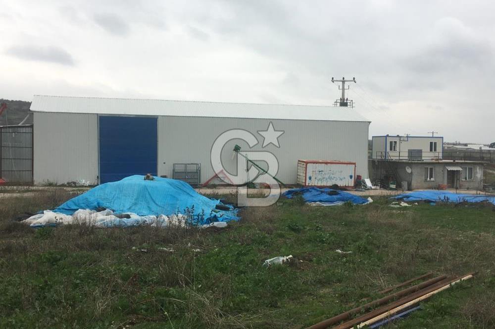 BALIKESİR ALTIEYLÜL PAMUKÇU'DA 24 DÖNÜM RUHSATLI ÇİFTLİK