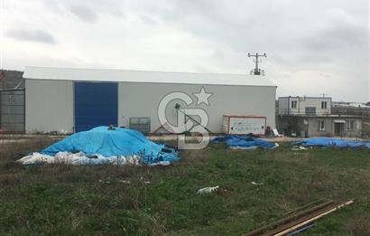 BALIKESİR ALTIEYLÜL PAMUKÇU'DA 24 DÖNÜM RUHSATLI ÇİFTLİK