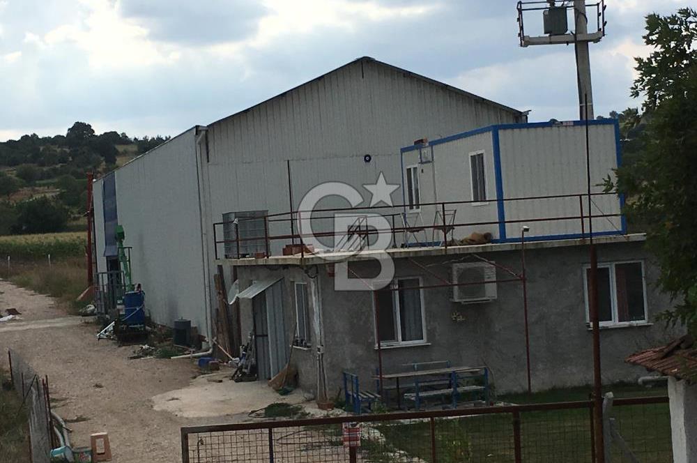 BALIKESİR ALTIEYLÜL PAMUKÇU'DA 24 DÖNÜM RUHSATLI ÇİFTLİK