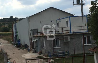 BALIKESİR ALTIEYLÜL PAMUKÇU'DA 24 DÖNÜM RUHSATLI ÇİFTLİK