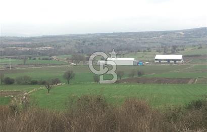 BALIKESİR ALTIEYLÜL PAMUKÇU'DA 24 DÖNÜM RUHSATLI ÇİFTLİK