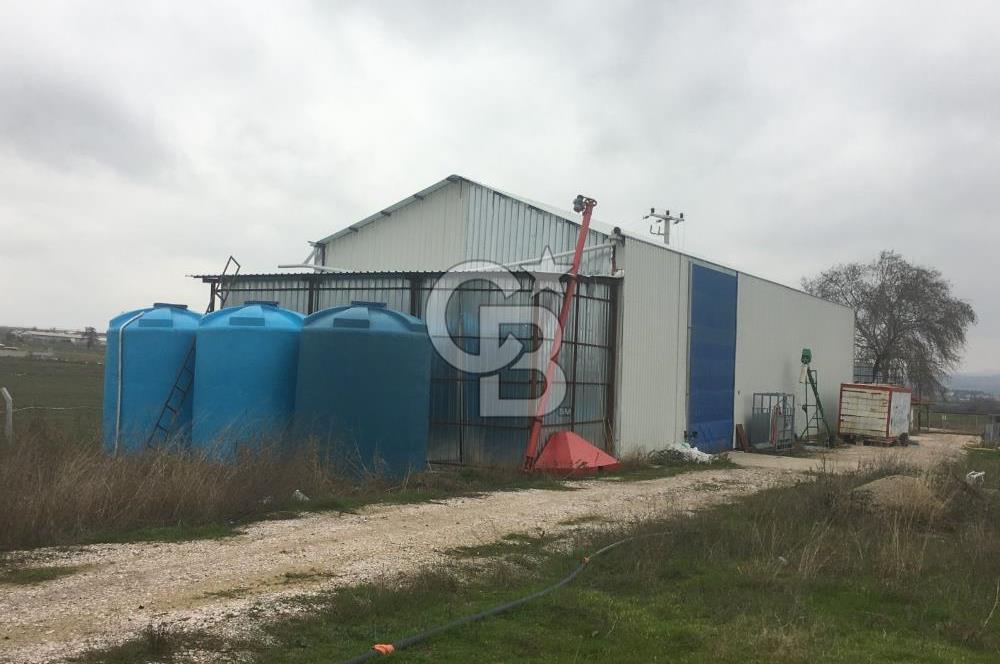 BALIKESİR ALTIEYLÜL PAMUKÇU'DA 24 DÖNÜM RUHSATLI ÇİFTLİK