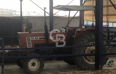 BALIKESİR ALTIEYLÜL PAMUKÇU'DA 24 DÖNÜM RUHSATLI ÇİFTLİK