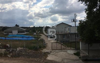 BALIKESİR ALTIEYLÜL PAMUKÇU'DA 24 DÖNÜM RUHSATLI ÇİFTLİK