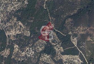 Bugün Gelir,Yarın Büyük Değer Artışı-Bornovada Yatırımlık Tarla - 10 - 319984