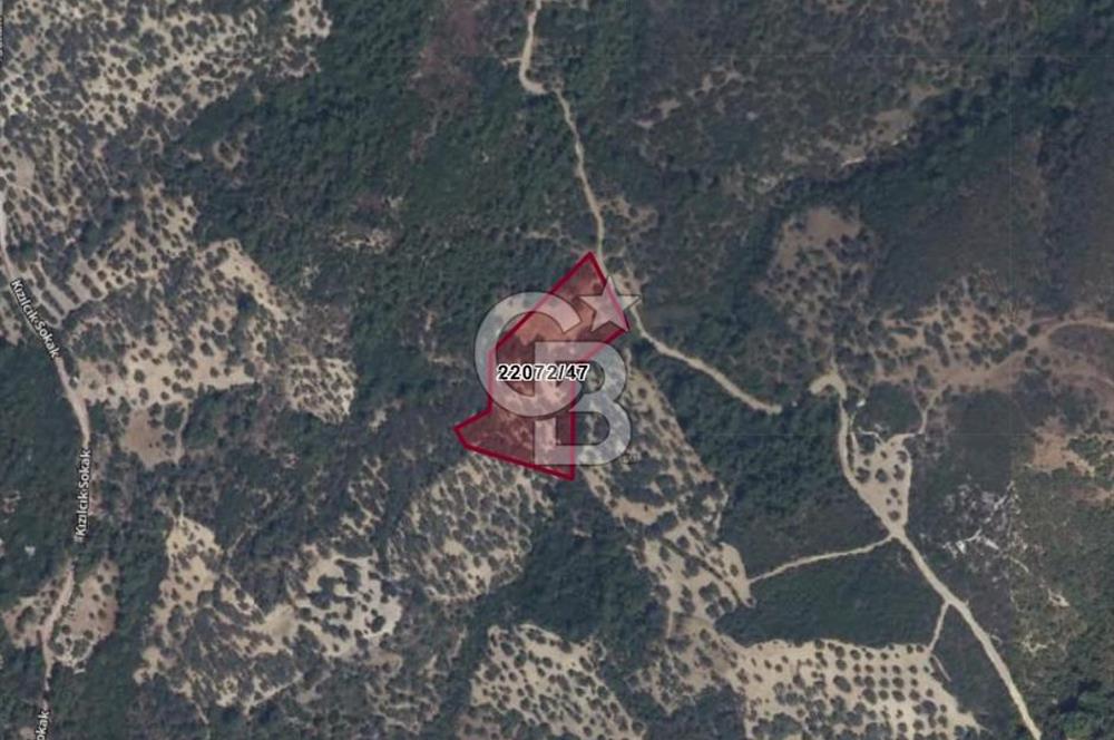 Bugün Gelir,Yarın Büyük Değer Artışı-Bornovada Yatırımlık Tarla